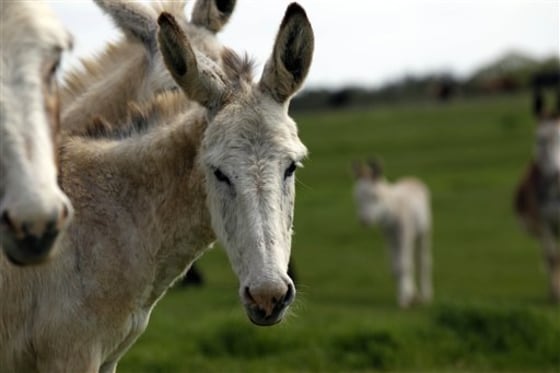 Keith Gantt, Karla Gantt